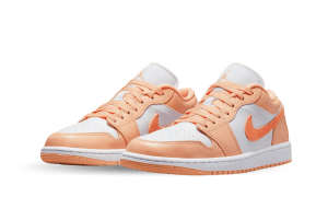 air-jordan-1 DC0774-801