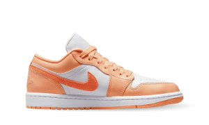 air-jordan-1 DC0774-801