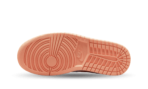 air-jordan-1 DC0774-801