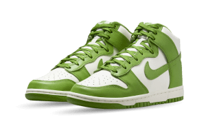 nike-dunk DD1869-300