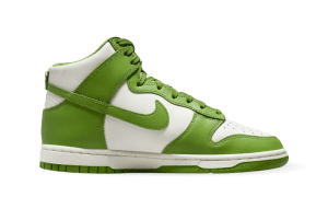 nike-dunk DD1869-300