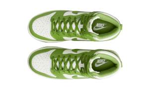 nike-dunk DD1869-300