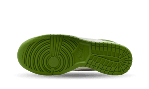 nike-dunk DD1869-300