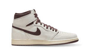air-jordan-10 DO7097-100