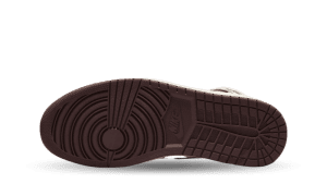 air-jordan-10 DO7097-100