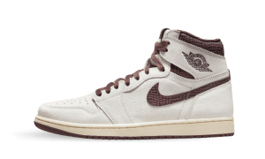 air-jordan-10 DO7097-100