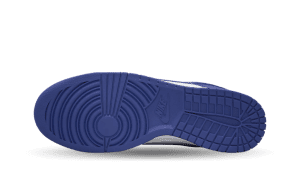 nike-dunk DV0833-103