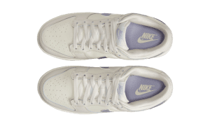 nike-dunk DX5930-100