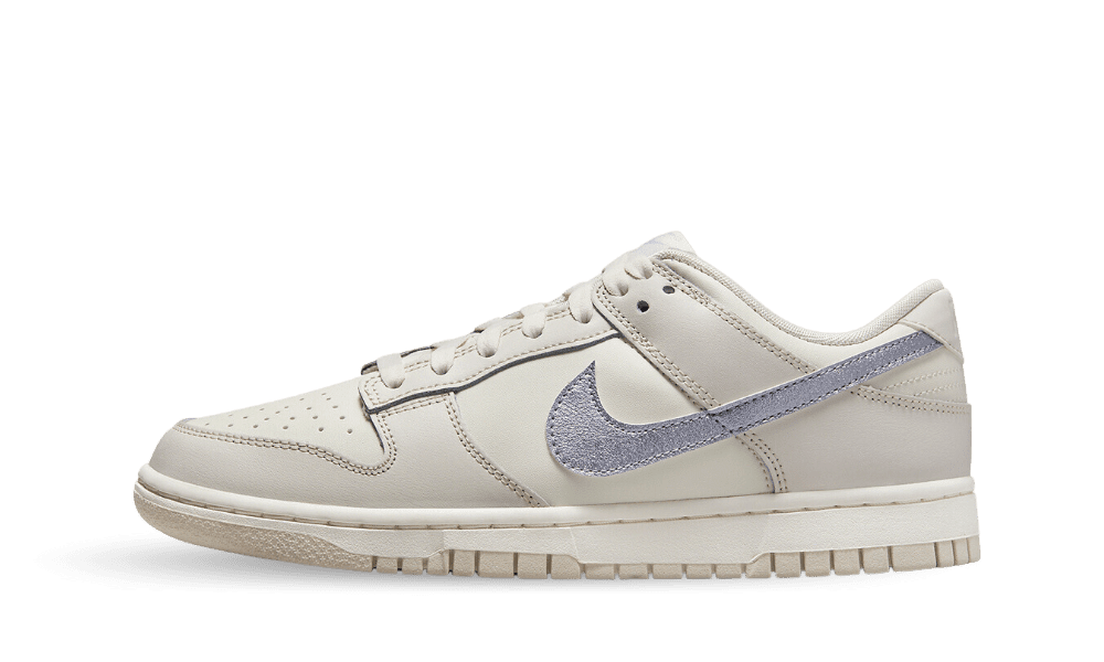 nike-dunk DX5930-100