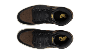 air-jordan-1 DZ5485-020