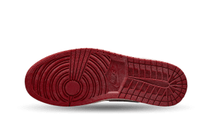 air-jordan-1 DZ5485-612