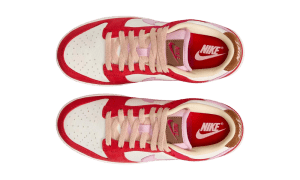 nike-dunk FB7910-600