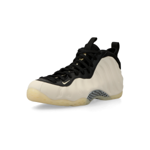 nike-air-foamposite FD5855-002