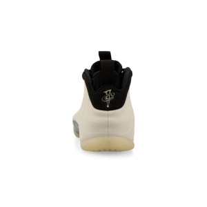 nike-air-foamposite FD5855-002