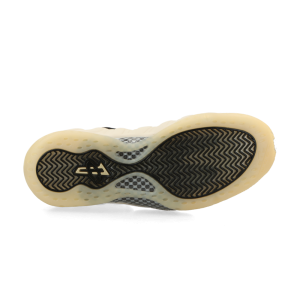 nike-air-foamposite FD5855-002