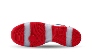 nike-dunk-sb FD8777-100