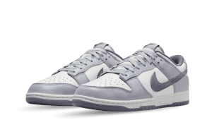 nike-dunk FJ4188-100