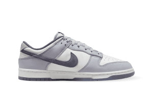 nike-dunk FJ4188-100