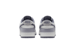 nike-dunk FJ4188-100