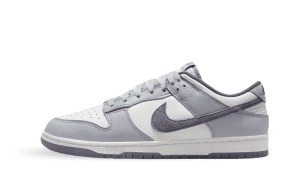 Nike Dunk Low SE Light Carbon Grey (FJ4188-100)