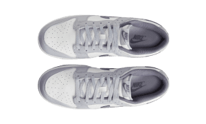 nike-dunk FJ4188-100