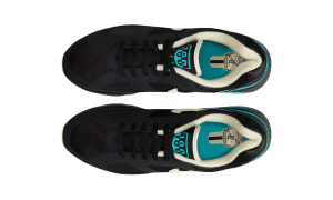 nike-air-max FJ9259-001