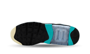 nike-air-max FJ9259-001