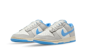 nike-dunk FN7488-133