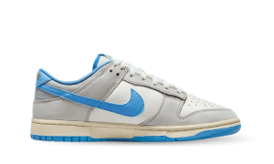 nike-dunk FN7488-133