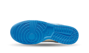 nike-dunk FN7488-133