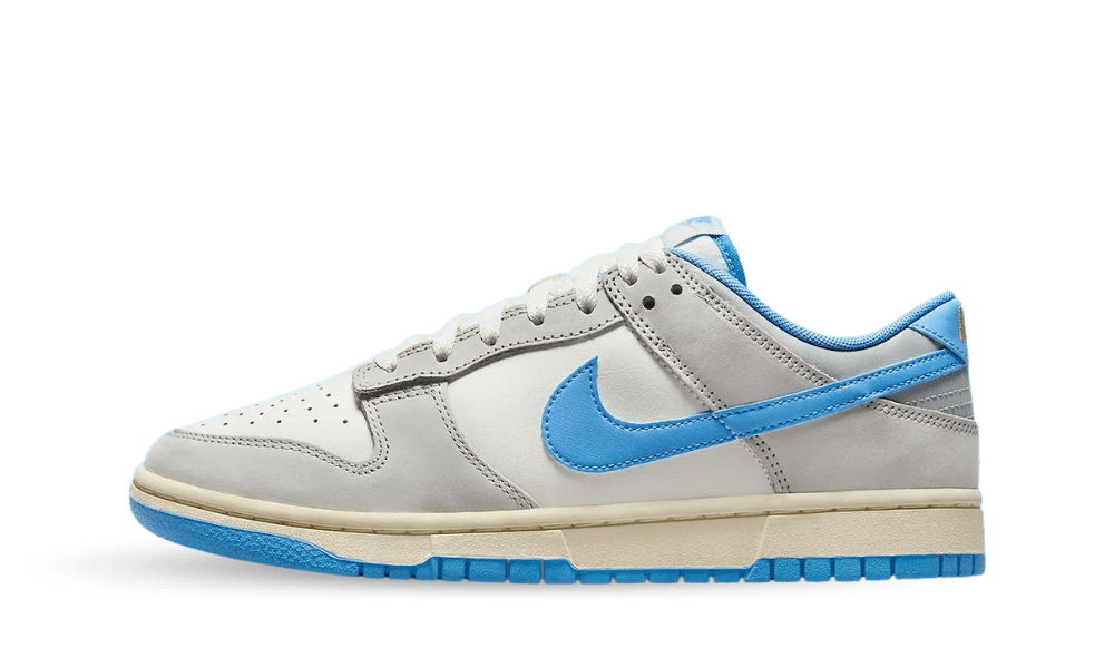 nike-dunk FN7488-133