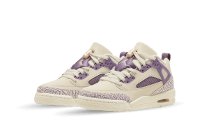 jordan-air-spizike FQ3950-200