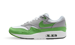 Nike Air Max 1 Patta 20th Anniversary (HF1012-300)