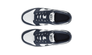 nike-dunk HF5177-400