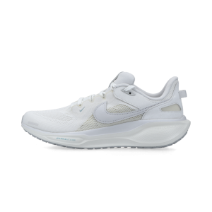 Nike Air Zoom Pegasus 41 SP (ivory / vast grey / coconut milk)  – HQ6025-100