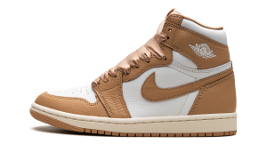 air-jordan-1 FN6622-201
