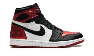 air-jordan-1 FD2596-602