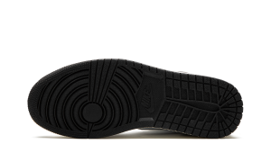 air-jordan-1 DZ5485-051