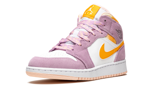 air-jordan-1 DC9517-600