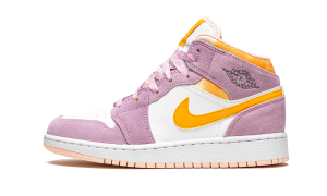 air-jordan-1 DC9517-600