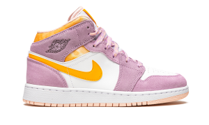 air-jordan-1 DC9517-600