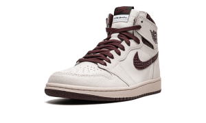 air-jordan-10 DO7097-100