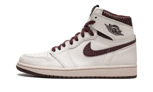 air-jordan-10 DO7097-100