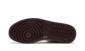air-jordan-10 DO7097-100