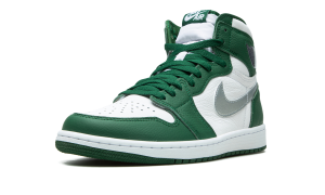 air-jordan-1 DZ5485-303