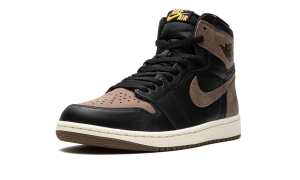 air-jordan-1 DZ5485-020