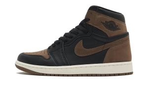 air-jordan-1 DZ5485-020
