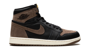 air-jordan-1 DZ5485-020