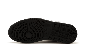 air-jordan-1 555088-008