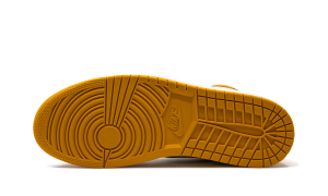 air-jordan-1 DZ5485-701